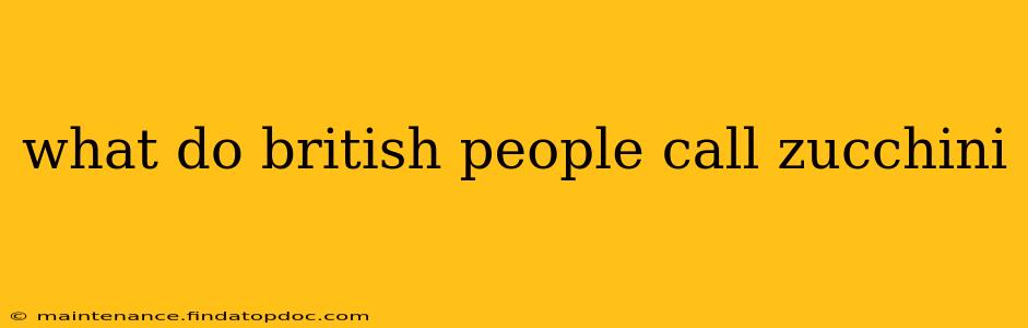 what do british people call zucchini