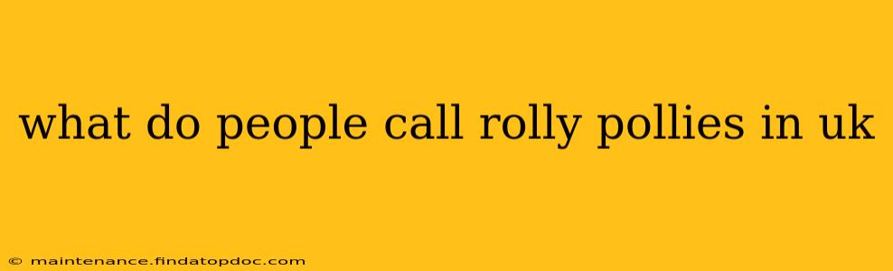 what do people call rolly pollies in uk