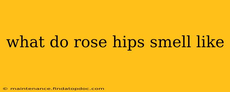 what do rose hips smell like