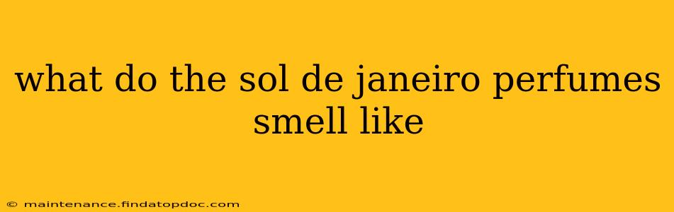 what do the sol de janeiro perfumes smell like