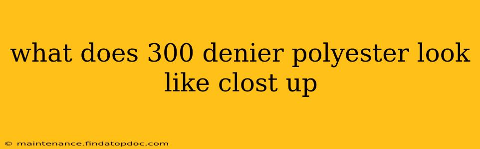 what does 300 denier polyester look like clost up