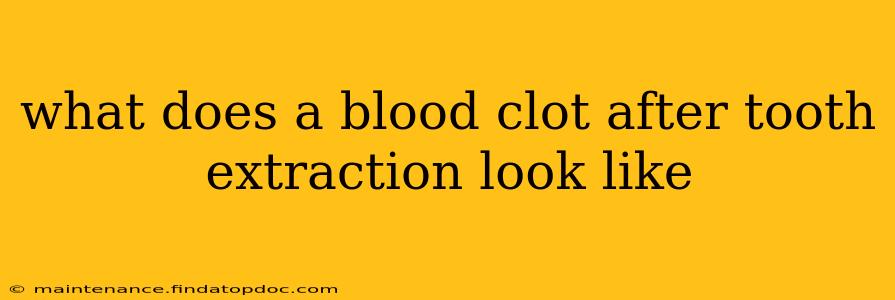 what does a blood clot after tooth extraction look like