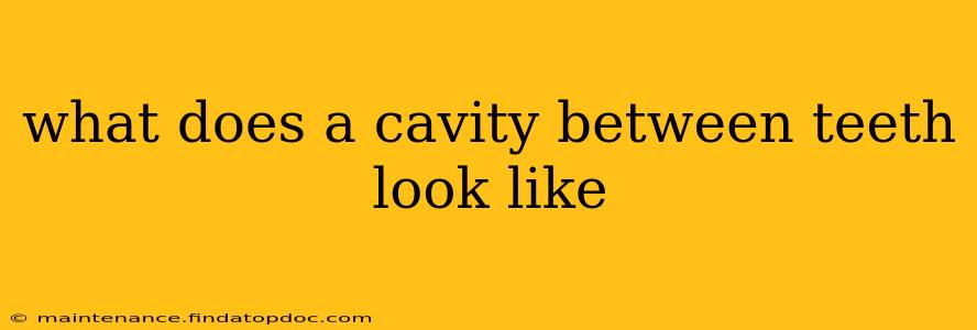 what does a cavity between teeth look like
