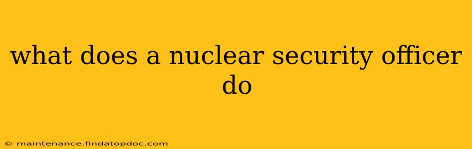 what does a nuclear security officer do
