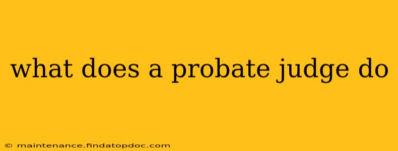 what does a probate judge do