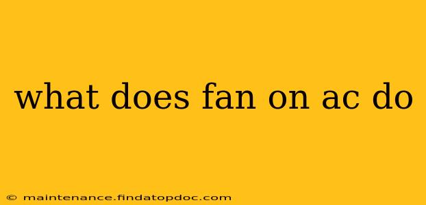what does fan on ac do