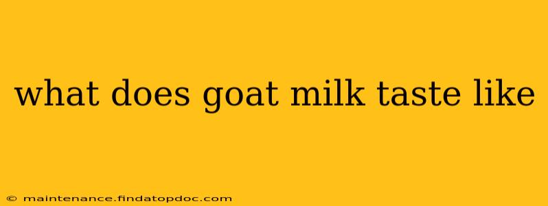 what does goat milk taste like