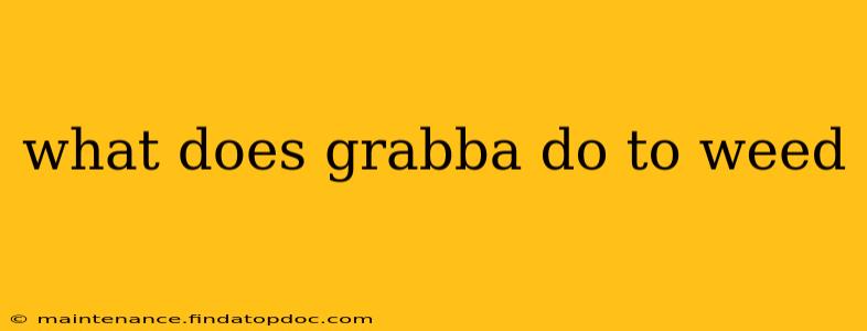 what does grabba do to weed