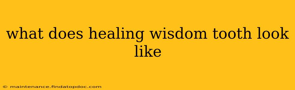 what does healing wisdom tooth look like
