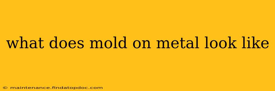 what does mold on metal look like