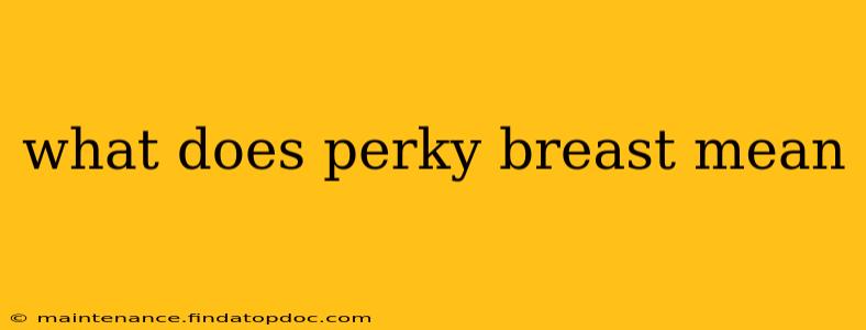 what does perky breast mean