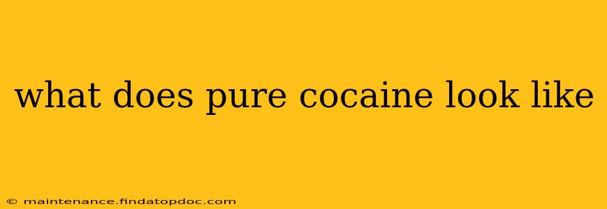 what does pure cocaine look like