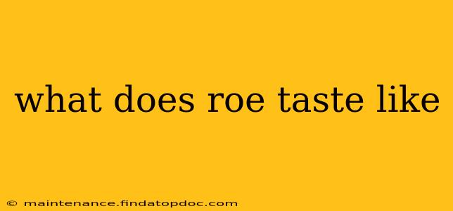 what does roe taste like