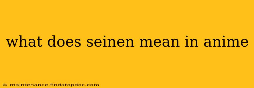 what does seinen mean in anime