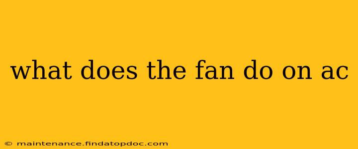 what does the fan do on ac