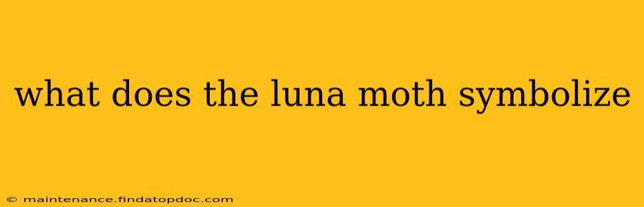 what does the luna moth symbolize