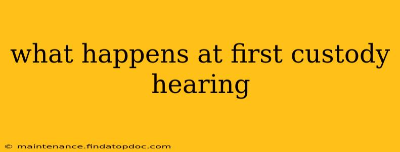 what happens at first custody hearing