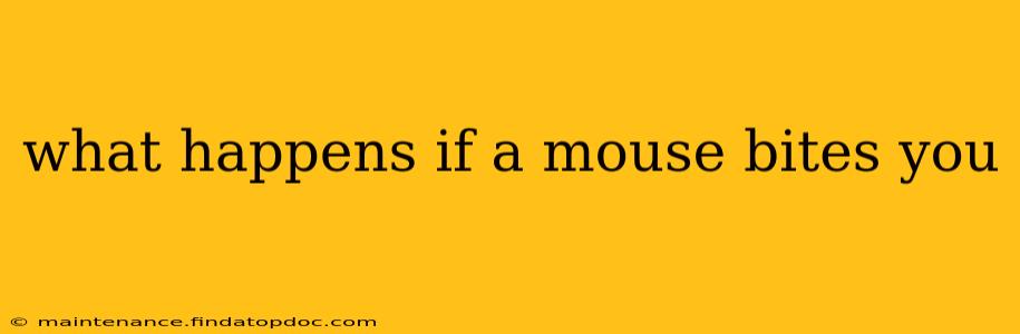 what happens if a mouse bites you