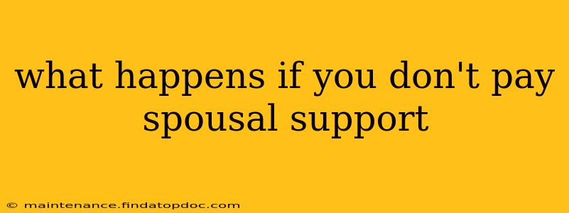 what happens if you don't pay spousal support