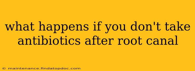 what happens if you don't take antibiotics after root canal