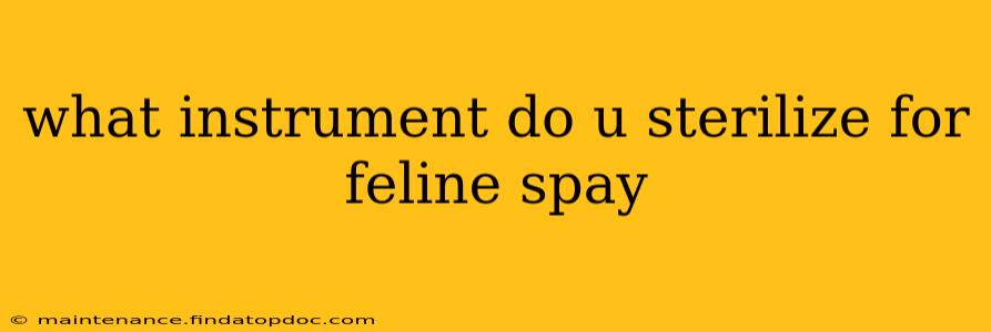 what instrument do u sterilize for feline spay