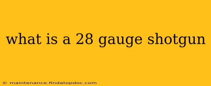 what is a 28 gauge shotgun
