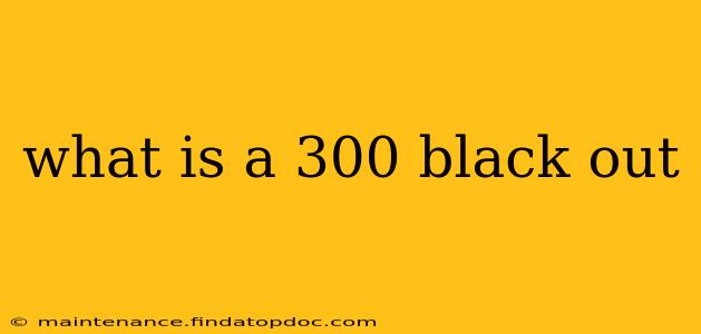 what is a 300 black out