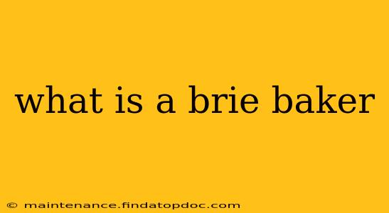 what is a brie baker