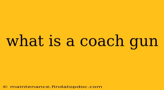 what is a coach gun