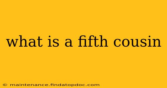 what is a fifth cousin