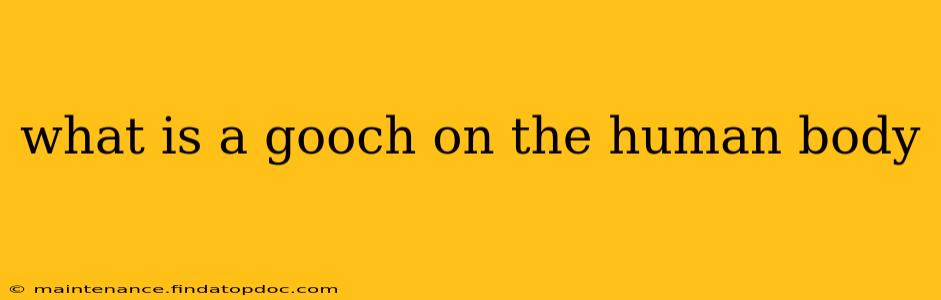 what is a gooch on the human body