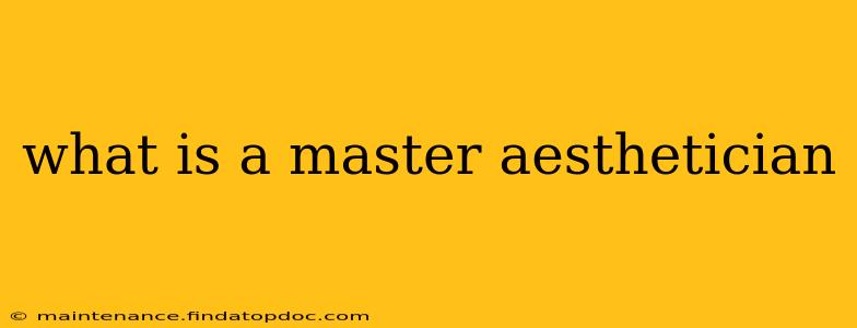 what is a master aesthetician