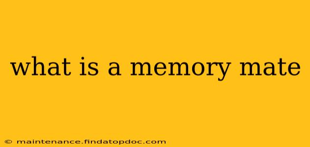 what is a memory mate