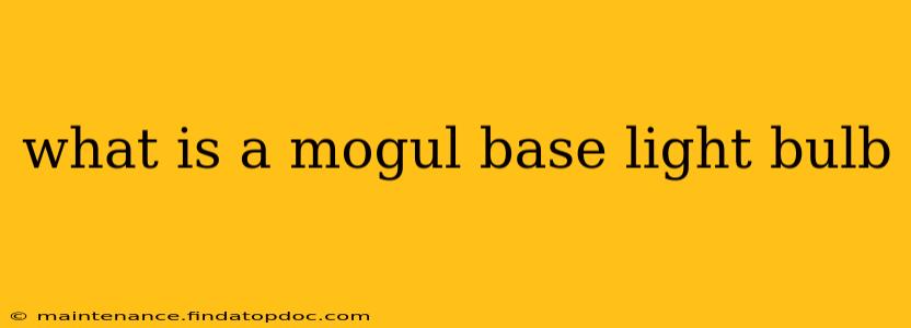 what is a mogul base light bulb