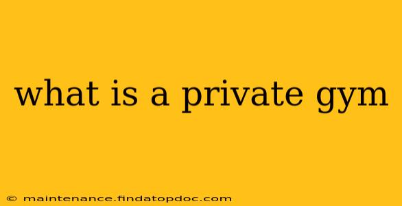 what is a private gym