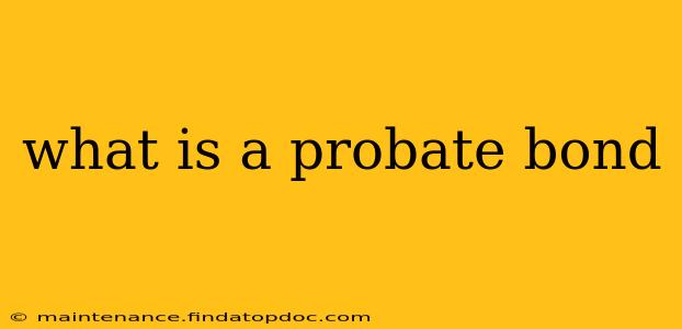 what is a probate bond