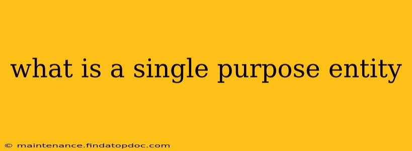 what is a single purpose entity