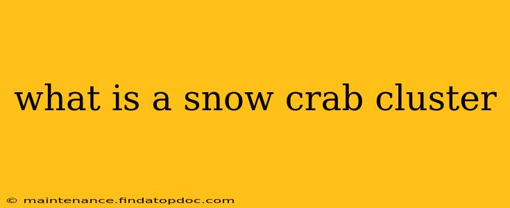 what is a snow crab cluster