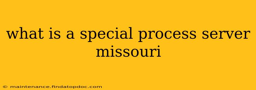 what is a special process server missouri
