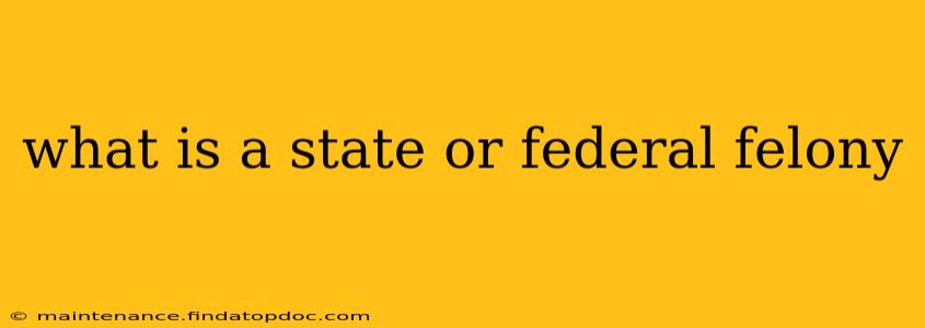 what is a state or federal felony