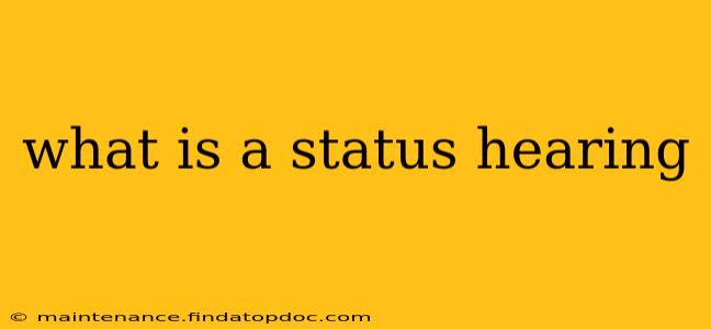 what is a status hearing