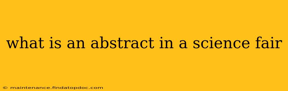 what is an abstract in a science fair