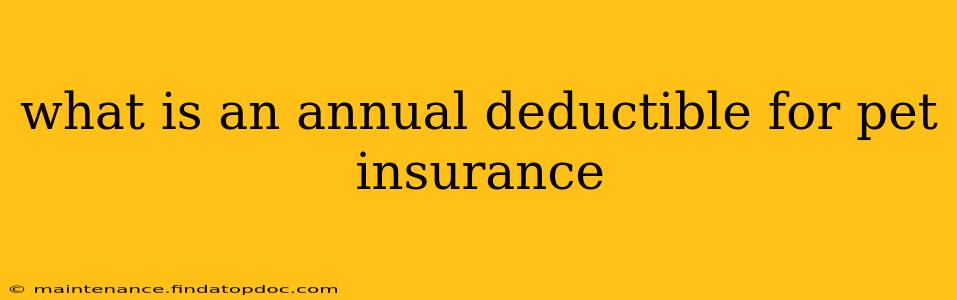 what is an annual deductible for pet insurance