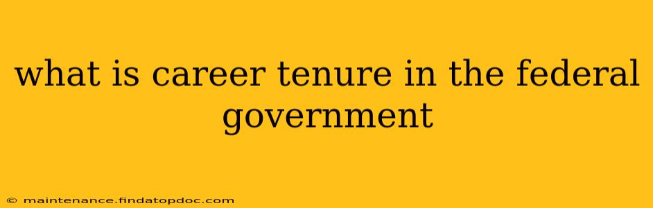 what is career tenure in the federal government