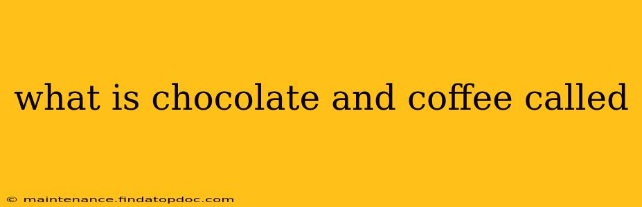 what is chocolate and coffee called