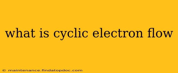 what is cyclic electron flow