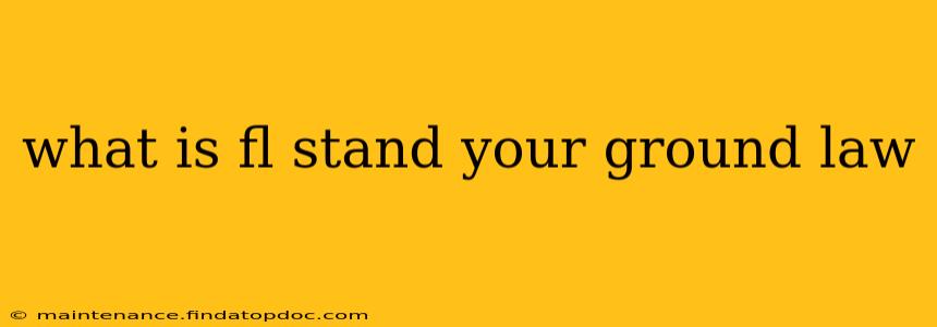 what is fl stand your ground law