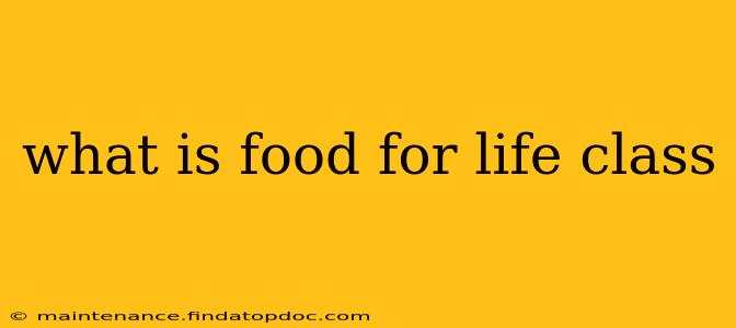 what is food for life class