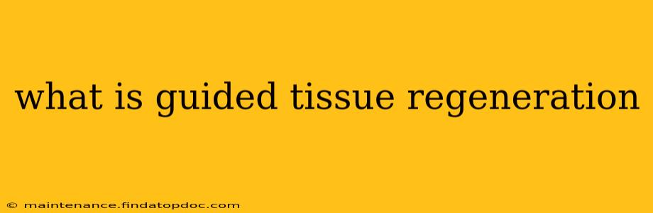 what is guided tissue regeneration