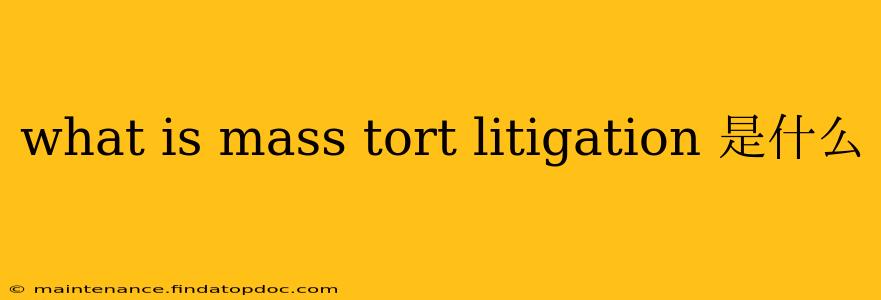 what is mass tort litigation 是什么